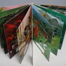 彩色印刷 河南彩色黑白書(shū)刊印刷廠家的專業(yè)服務(wù)與優(yōu)勢(shì)